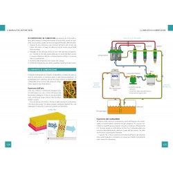 Il manuale del motore diesel marino